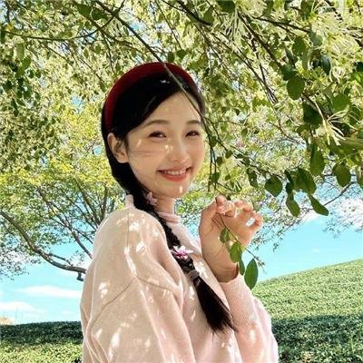 甄嬛传